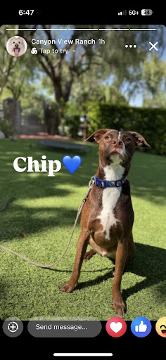 Photo from customer review