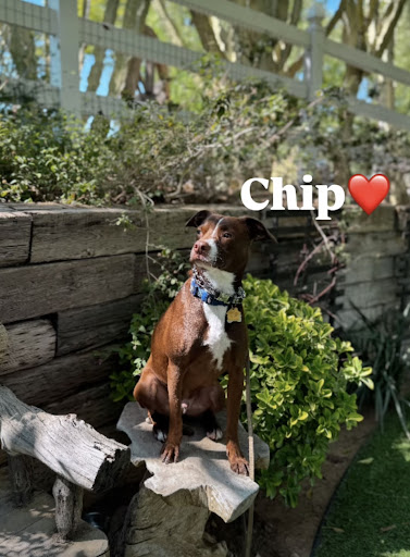 Photo from customer review