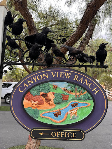 Photo from customer review