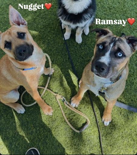 Photo from customer review