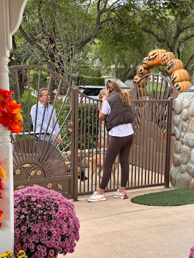 Photo from customer review