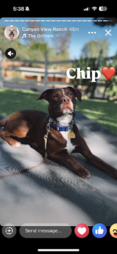 Photo from customer review