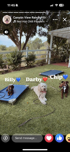 Photo from customer review