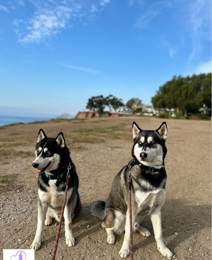 Photo from customer review