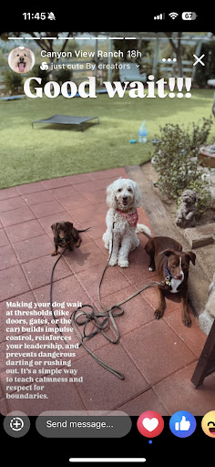 Photo from customer review