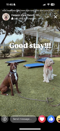 Photo from customer review