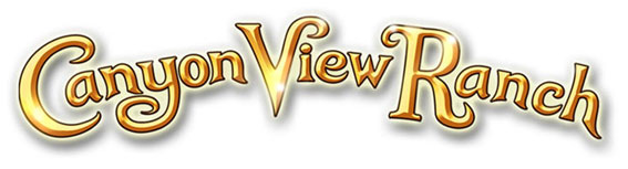 Canyon View Ranch, Best Dog Boarding and Training in Topanga